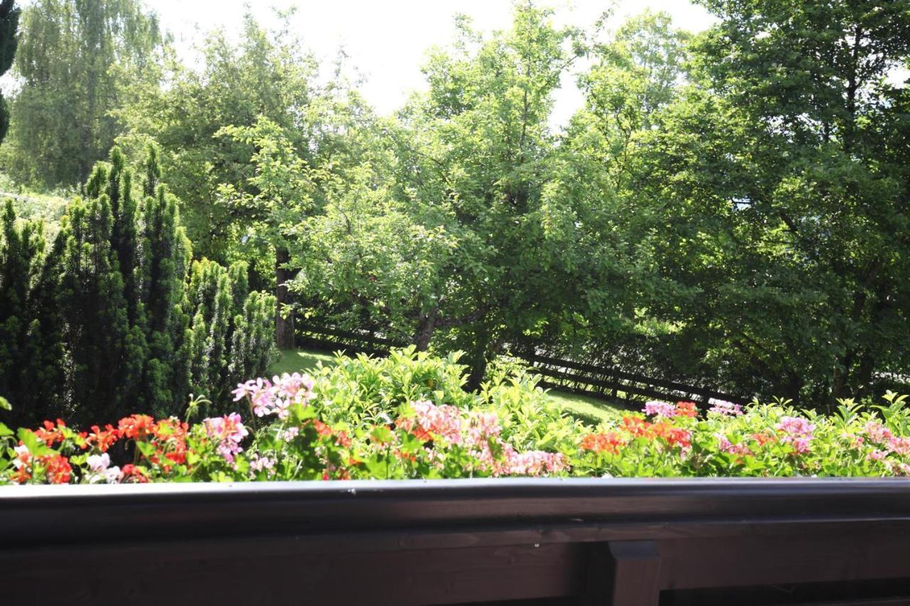 Haus Hager - Maria Hager Apartment เอลล์เมา ภายนอก รูปภาพ